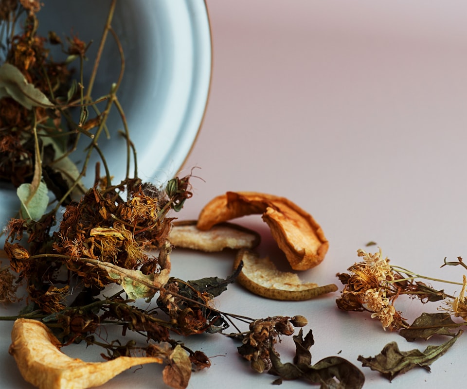 Guía de plantas medicinales